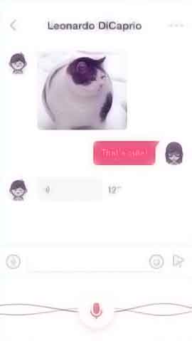 ddos在线攻击软件程序维护界面